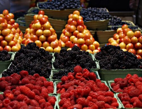 Your Guide to the Best Farmers Markets in Montgomery County